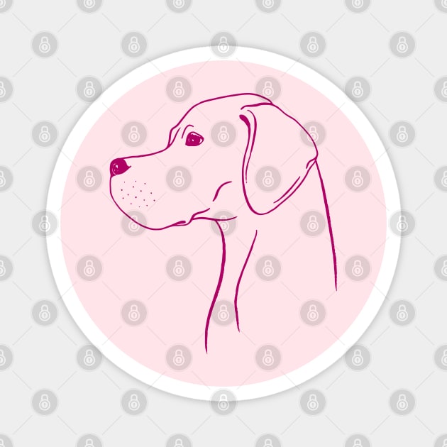 English Pointer (Pink and Berry) Magnet by illucalliart